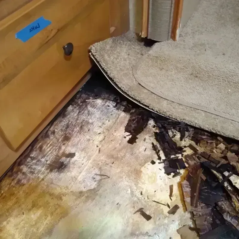 Best Wood Floor Water Damage Service in Brentwood, PA